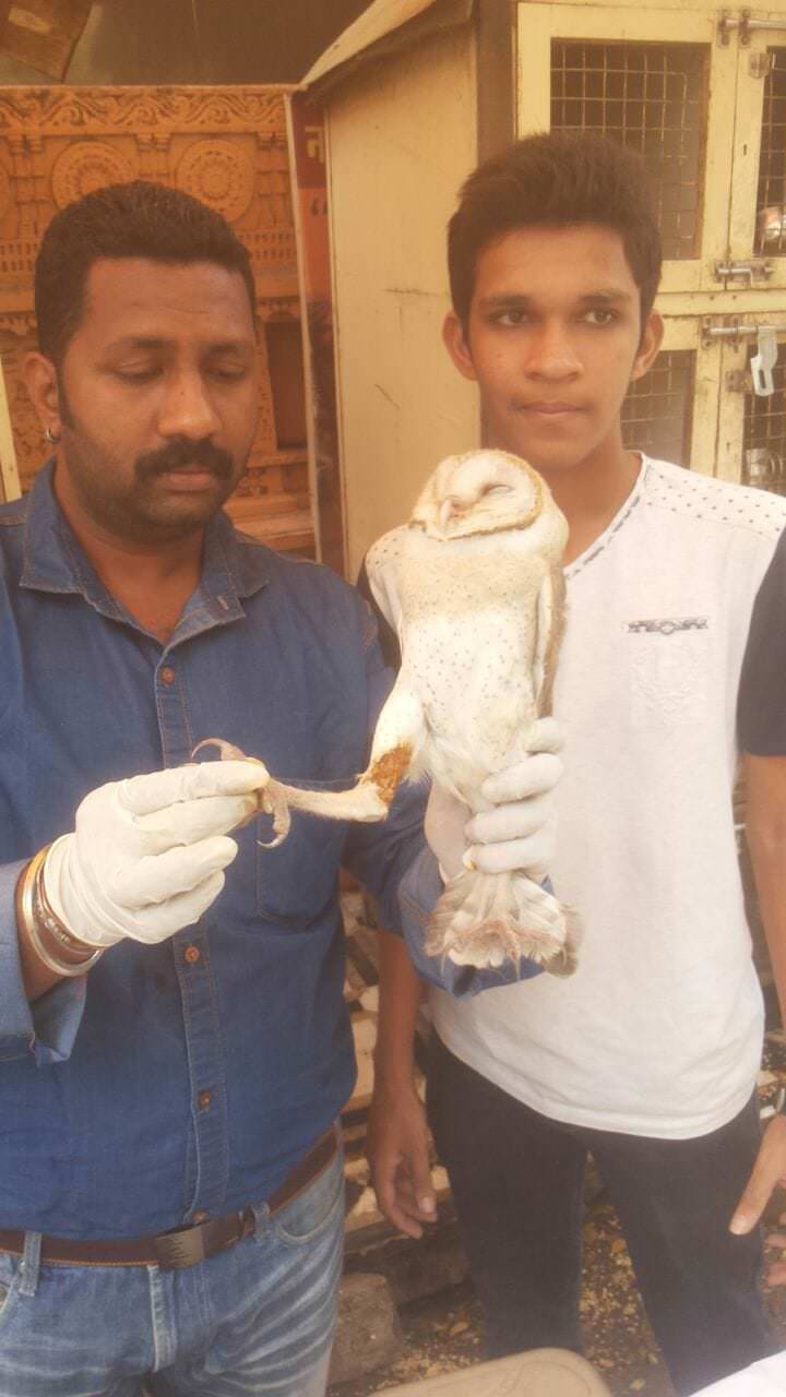 Image of Birds Camp during Makar Sankranti 1